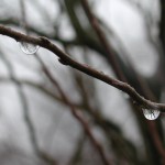 pelham bay park.jpg (1 MB)